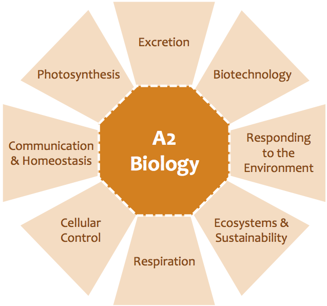 Biology aqa essay questions